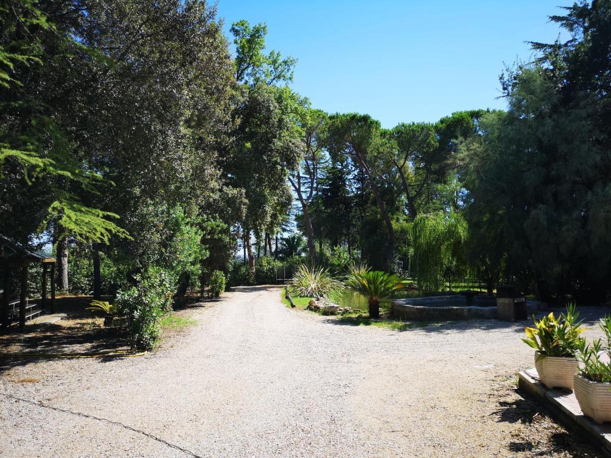 Agriturismo Tenuta La Muratella ปอนเต กาเลเรีย ภายนอก รูปภาพ